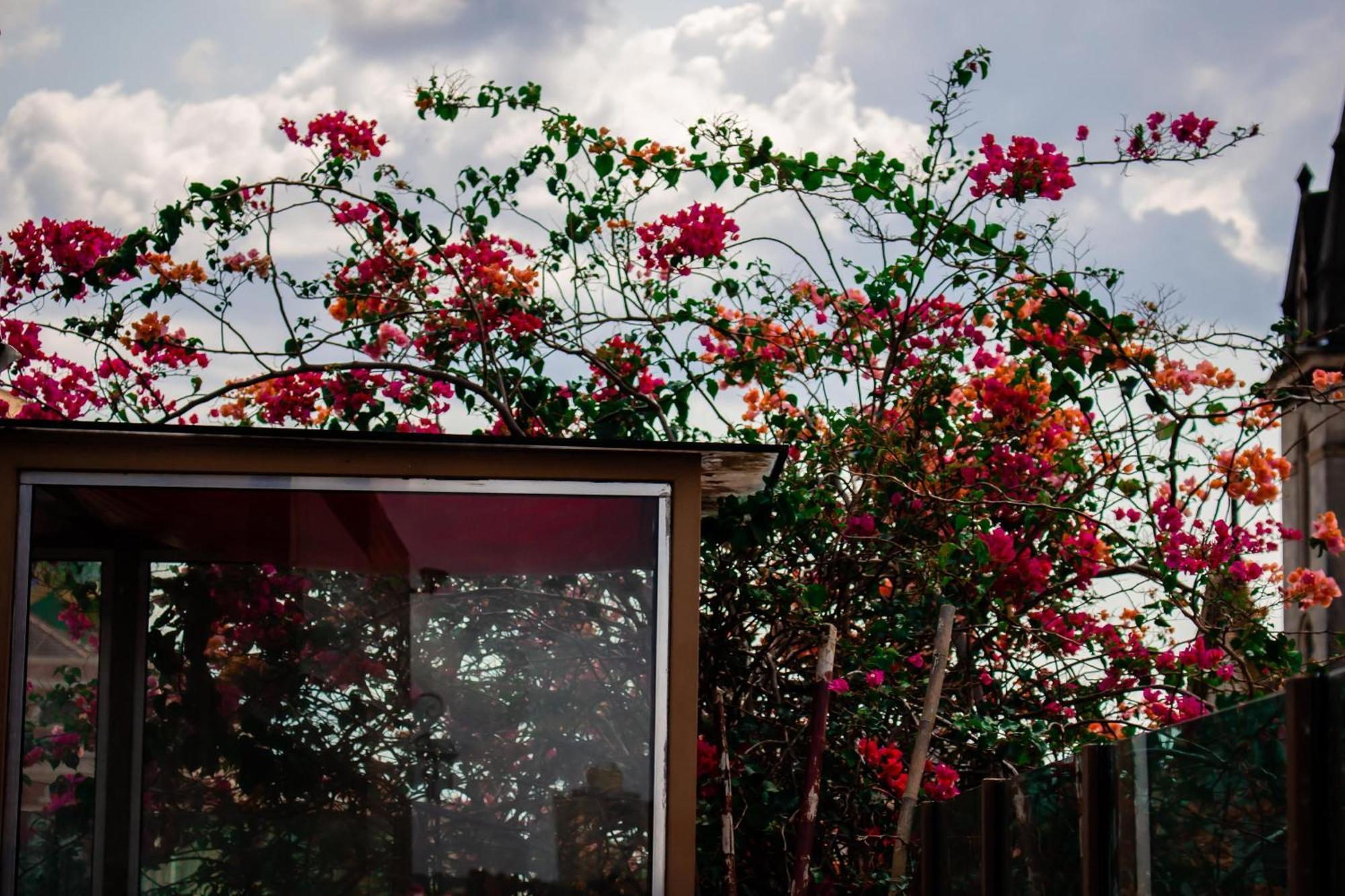 Boutique Hotel Casa Teatro มาเนาส์ ภายนอก รูปภาพ